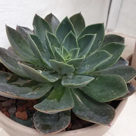 Infinito Boutique - Adults Only 2*